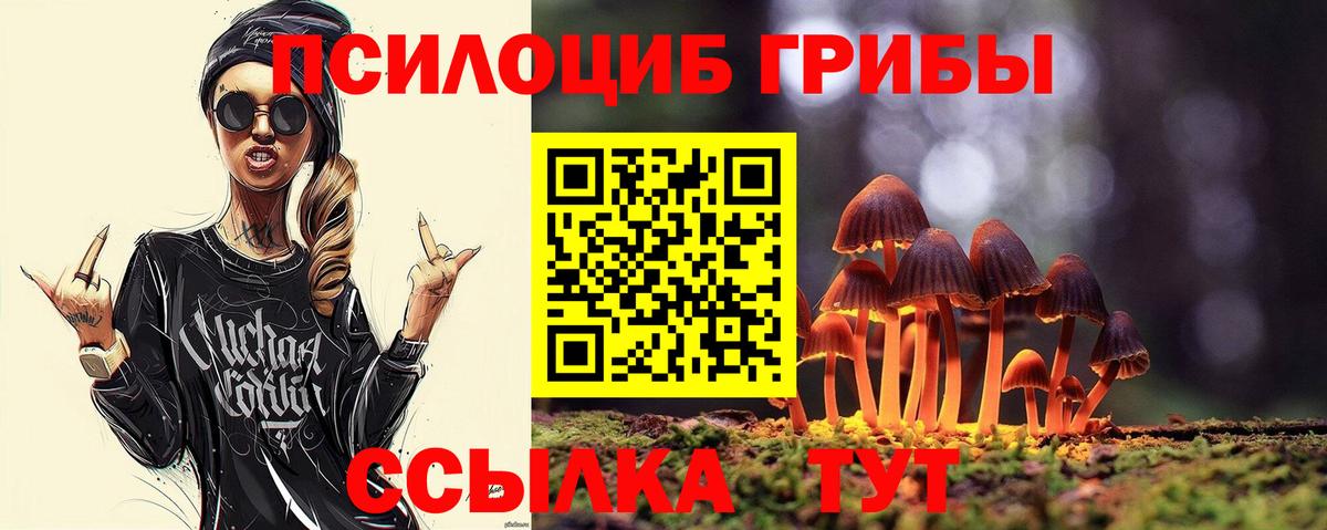 Псилоцибиновые грибы Cubensis Лениногорск