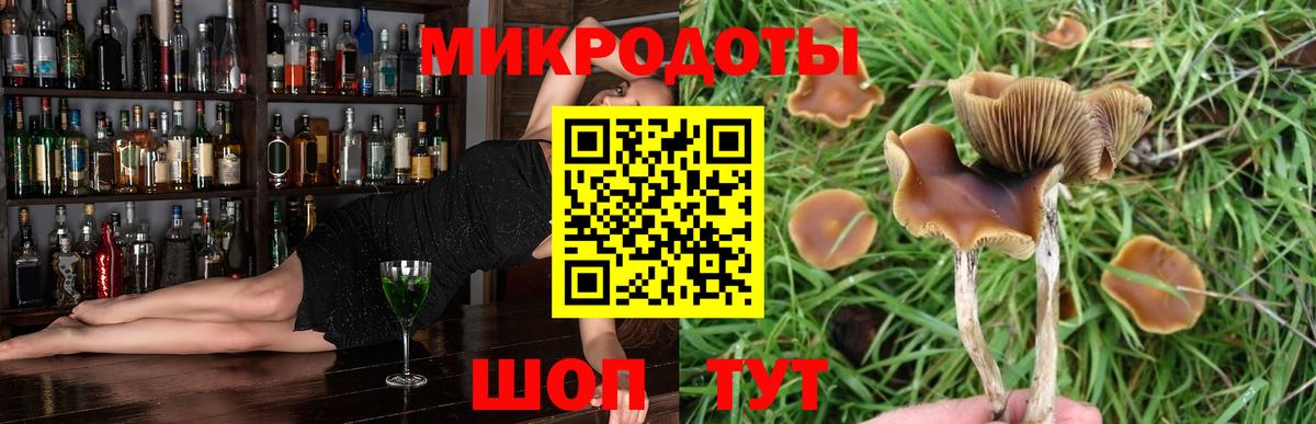 Лениногорск  где найти наркотики  Вход с VPN  Галлюциногенные грибы Magic Shrooms 